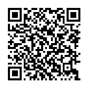 Link to your fundraiser QRCode - Fundraising