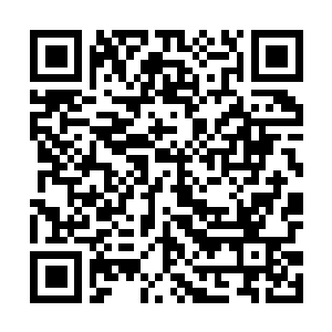 Link to your fundraiser QRCode - Fundraising