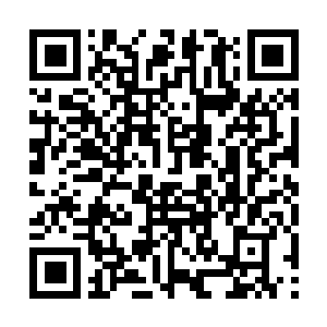 Link to your fundraiser QRCode - Fundraising