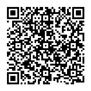 Link to your fundraiser QRCode - Fundraising