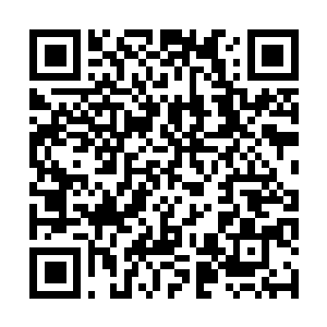 Link to your fundraiser QRCode - Fundraising