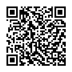 Link to your fundraiser QRCode - Fundraising
