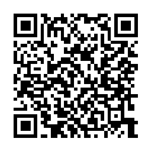 Link to your fundraiser QRCode - Fundraising