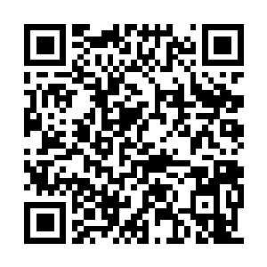 Link to your fundraiser QRCode - Fundraising