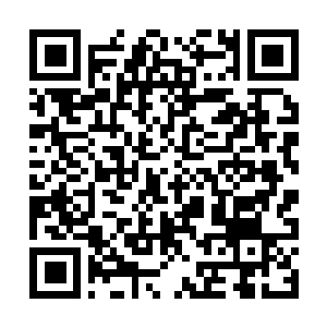 Link to your fundraiser QRCode - Fundraising
