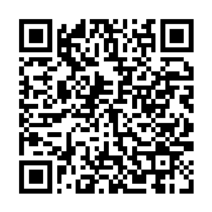 Link to your fundraiser QRCode - Fundraising
