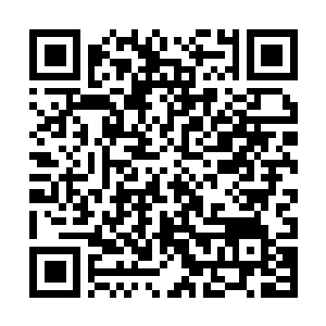 Link to your fundraiser QRCode - Fundraising