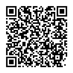 Link to your fundraiser QRCode - Fundraising