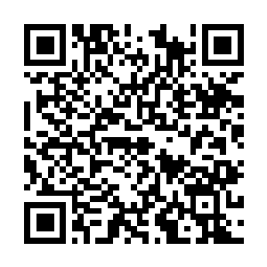 Link to your fundraiser QRCode - Fundraising