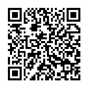 Link to your fundraiser QRCode - Fundraising