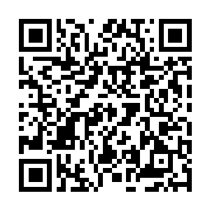 Link to your fundraiser QRCode - Fundraising