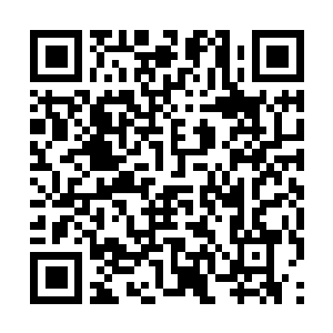 Link to your fundraiser QRCode - Fundraising