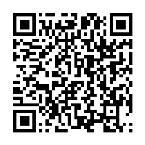 Link to your fundraiser QRCode - Fundraising