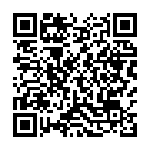 Link to your fundraiser QRCode - Fundraising