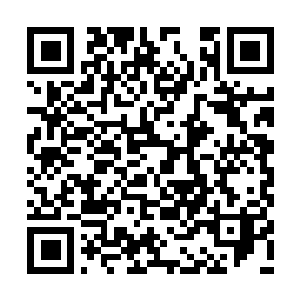 Link to your fundraiser QRCode - Fundraising