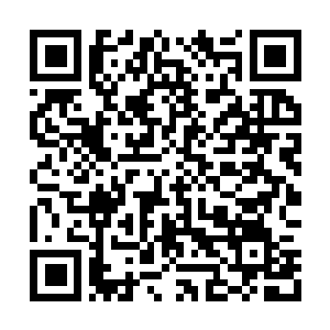 Link to your fundraiser QRCode - Fundraising