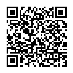 Link to your fundraiser QRCode - Fundraising
