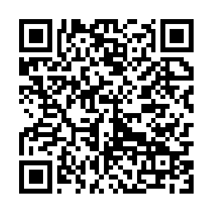 Link to your fundraiser QRCode - Fundraising