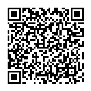 Link to your fundraiser QRCode - Fundraising