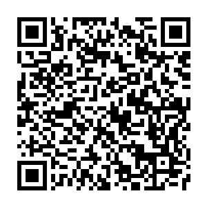 Link to your fundraiser QRCode - Fundraising