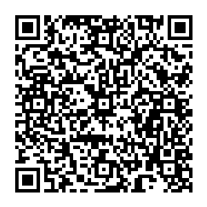 Link to your fundraiser QRCode - Fundraising