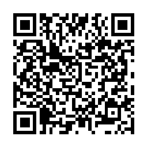Link to your fundraiser QRCode - Fundraising