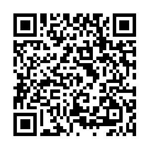 Link to your fundraiser QRCode - Fundraising