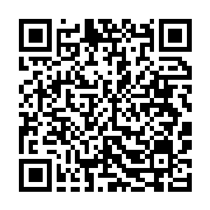 Link to your fundraiser QRCode - Fundraising