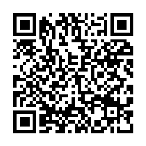 Link to your fundraiser QRCode - Fundraising