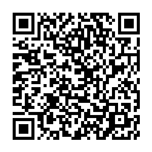 Link to your fundraiser QRCode - Fundraising