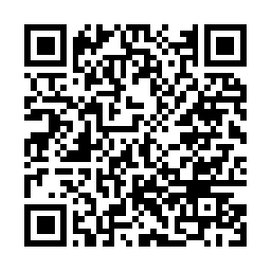 Link to your fundraiser QRCode - Fundraising