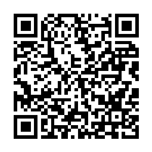 Link to your fundraiser QRCode - Fundraising