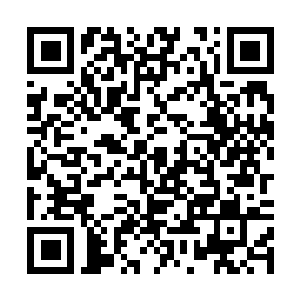 Link to your fundraiser QRCode - Fundraising