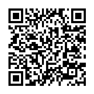 Link to your fundraiser QRCode - Fundraising