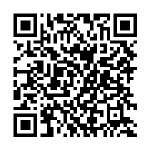Link to your fundraiser QRCode - Fundraising