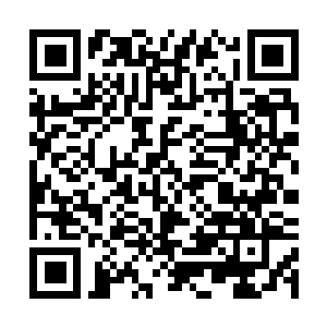 Link to your fundraiser QRCode - Fundraising