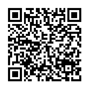 Link to your fundraiser QRCode - Fundraising