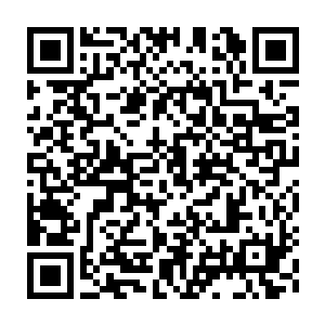 Link to your fundraiser QRCode - Fundraising