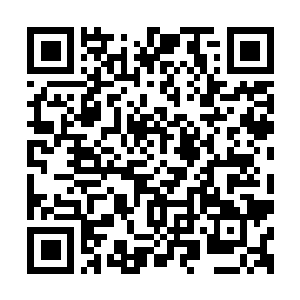 Link to your fundraiser QRCode - Fundraising