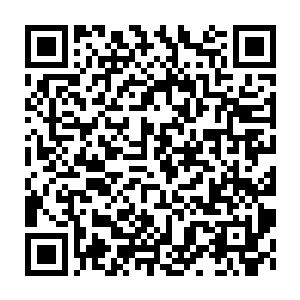 Link to your fundraiser QRCode - Fundraising