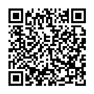 Link to your fundraiser QRCode - Fundraising