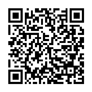 Link to your fundraiser QRCode - Fundraising