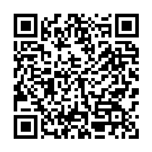 Link to your fundraiser QRCode - Fundraising