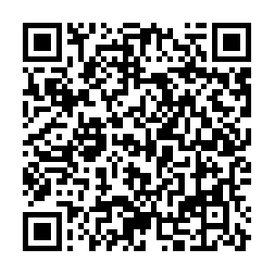 Link to your fundraiser QRCode - Fundraising