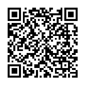 Link to your fundraiser QRCode - Fundraising