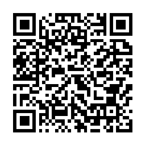 Link to your fundraiser QRCode - Fundraising