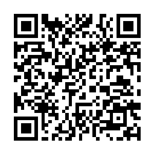 Link to your fundraiser QRCode - Fundraising