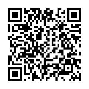 Link to your fundraiser QRCode - Fundraising