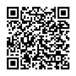 Link to your fundraiser QRCode - Fundraising