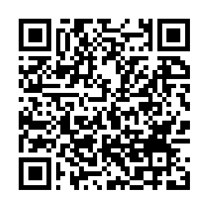 Link to your fundraiser QRCode - Fundraising